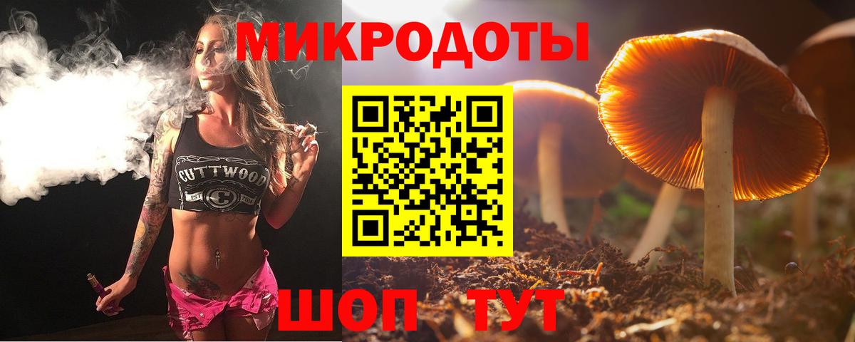 купить наркоту  Вход с VPN  Щёлково  Псилоцибиновые грибы Cubensis  Галлюциногенные грибы прущие грибы 